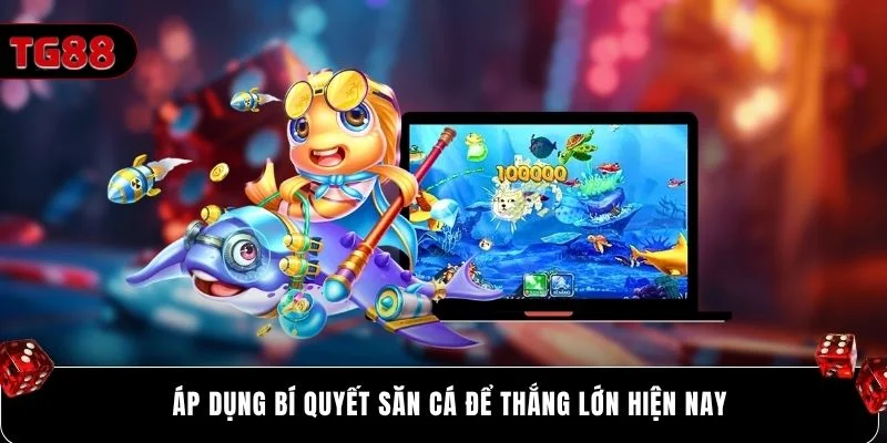 Áp dụng bí quyết săn cá để thắng lớn hiện nay