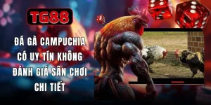 Đá Gà Campuchia Có Uy Tín Không