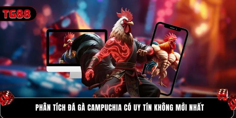 Phân tích đá gà campuchia có uy tín không mới nhất